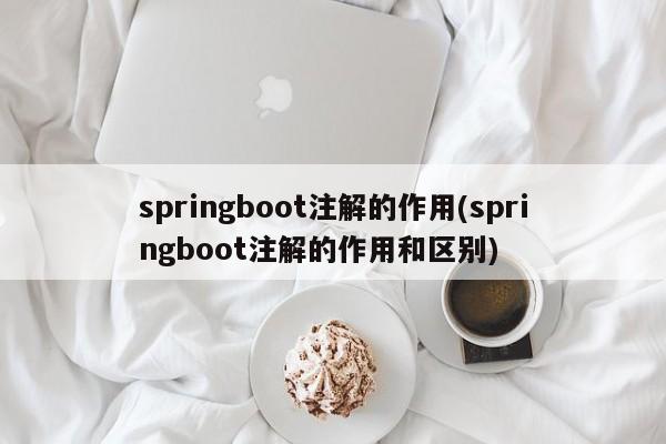 springboot注解的作用(springboot注解的作用和区别)  第1张