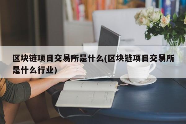 区块链项目交易所是什么(区块链项目交易所是什么行业)