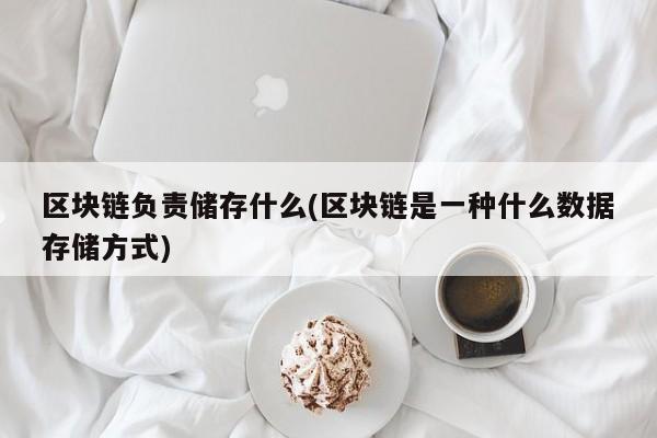 区块链负责储存什么(区块链是一种什么数据存储方式)