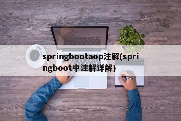 springbootaop注解(springboot中注解详解)  第1张