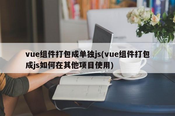 vue组件打包成单独js(vue组件打包成js如何在其他项目使用)  第1张