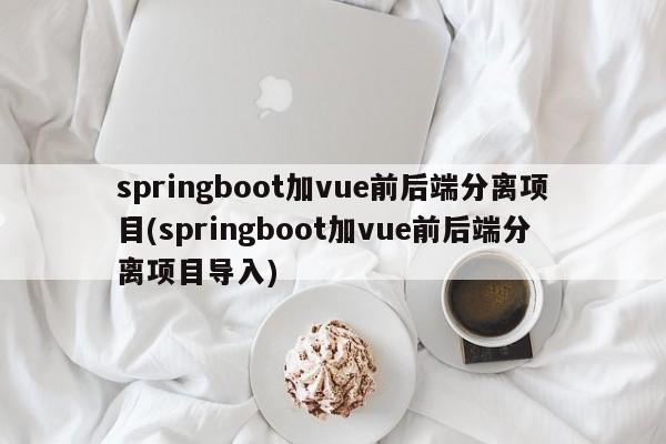 springboot加vue前后端分离项目(springboot加vue前后端分离项目导入)  第1张