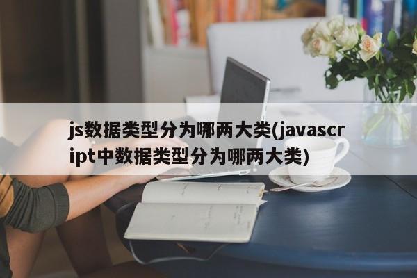 js数据类型分为哪两大类(javascript中数据类型分为哪两大类)  第1张