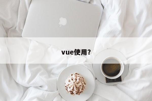 vue使用？  第1张