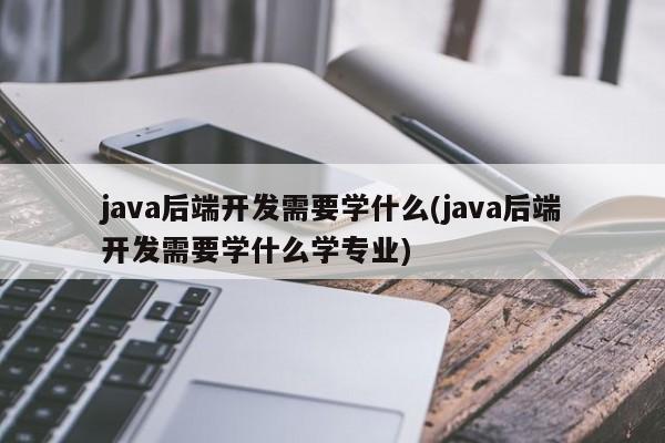 java后端开发需要学什么(java后端开发需要学什么学专业)  第1张