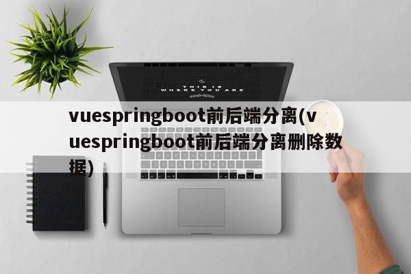 vuespringboot前后端分离(vuespringboot前后端分离删除数据)  第1张