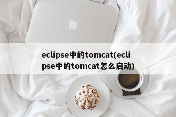 eclipse中的tomcat(eclipse中的tomcat怎么启动)  第1张