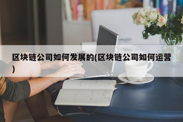 区块链公司如何发展的(区块链公司如何运营)