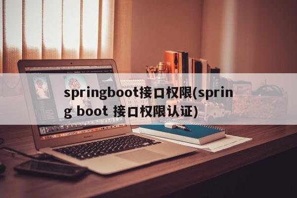 springboot接口权限(spring boot 接口权限认证)  第1张