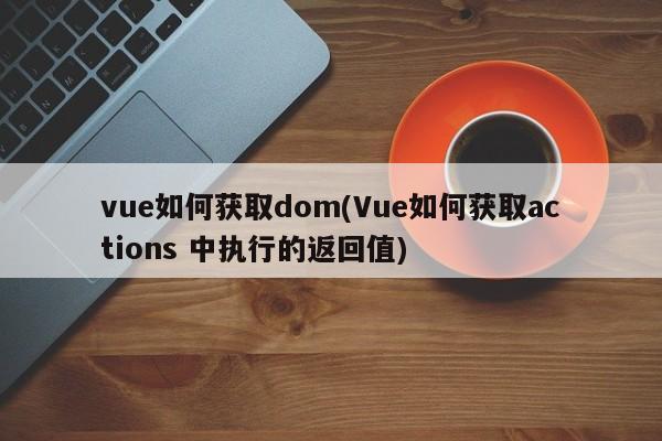 vue如何获取dom(Vue如何获取actions 中执行的返回值)  第1张