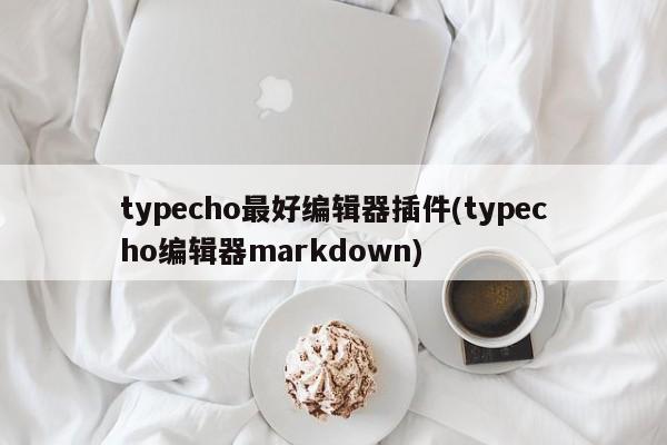 typecho最好编辑器插件(typecho编辑器markdown)  第1张