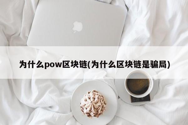 为什么pow区块链(为什么区块链是骗局)