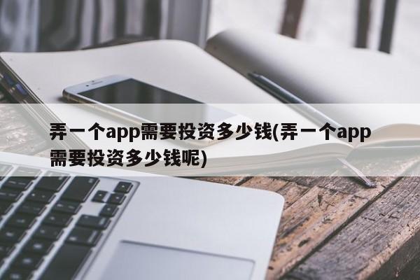 弄一个app需要投资多少钱(弄一个app需要投资多少钱呢)  第1张