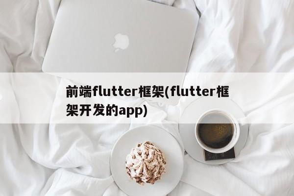 前端flutter框架(flutter框架开发的app)  第1张