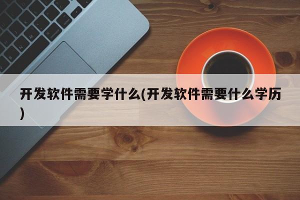 开发软件需要学什么(开发软件需要什么学历)  第1张