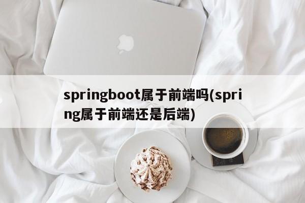 springboot属于前端吗(spring属于前端还是后端)  第1张