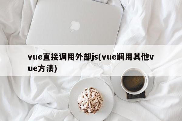 vue直接调用外部js(vue调用其他vue方法)  第1张