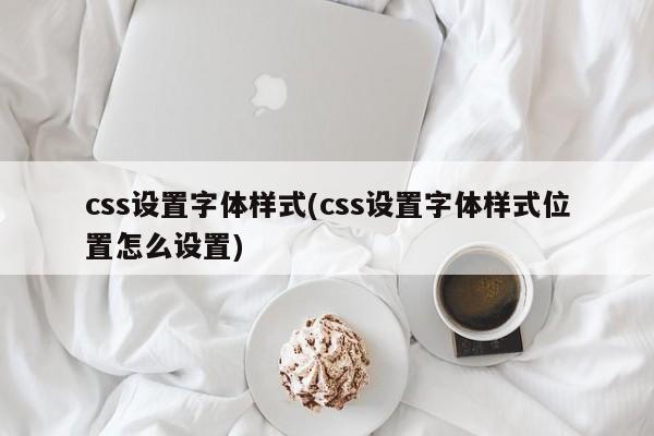 css设置字体样式(css设置字体样式位置怎么设置)  第1张